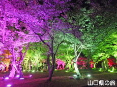 ときわ公園・呼応する森2016