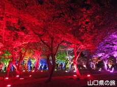 ときわ公園・呼応する森2016