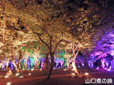 ときわ公園・呼応する森2016