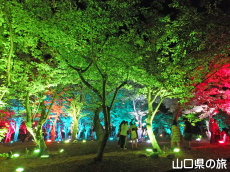 ときわ公園・呼応する森2016