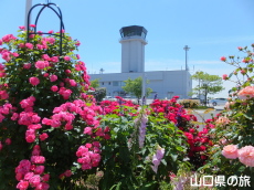 山口宇部空港のバラ園