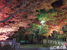 �@�����̍g�t���C�g�A�b�v