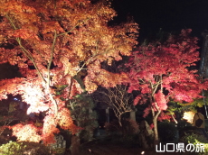 �@�����̍g�t���C�g�A�b�v