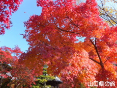 �@�����̍g�t