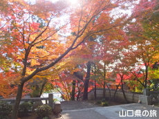 �@�����̍g�t