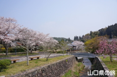 �e�������̍�