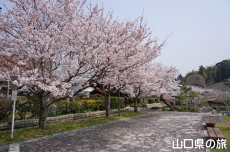 �e�������̍�