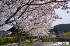 �e�������̍�