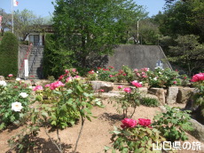 �畧���̉��O