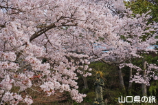 �ڂ������ω�