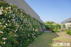 Ƃ~[WÃo