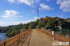 馬の背コース登山道