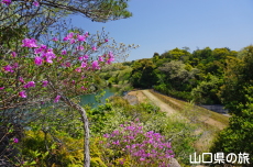 霜降山