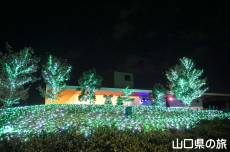 �F��̖؁X����2021