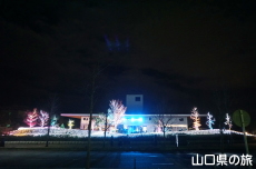 �F��̖؁X����2021