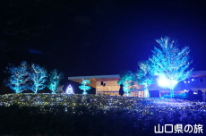 �F��̖؁X����2021