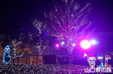 �F��̖؁X����2021