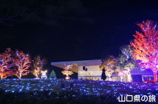 �F��̖؁X����2021