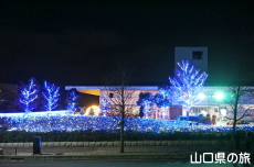 �F��̖؁X����2021