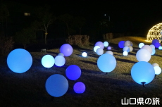 �F��̖؁X����2021