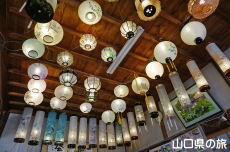 �򖼎��̖~���傤����