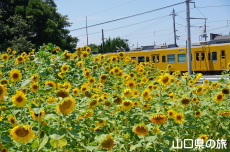 JR�۔��w�O�̂Ђ܂��