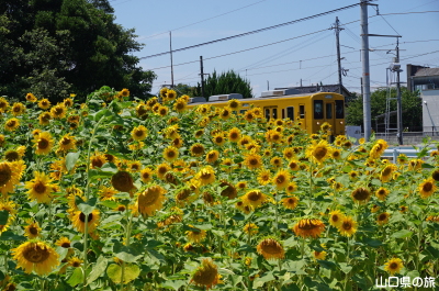 JR�۔��w�O�̂Ђ܂��