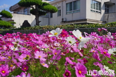 �����ӂꂠ���Z���^�[�̃R�X���X