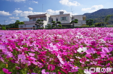 �����ӂꂠ���Z���^�[�̃R�X���X