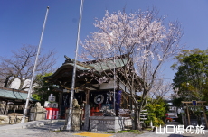 ���Ð��_�Ђ̒W�n��