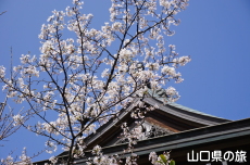 ���Ð��_�Ђ̒W�n��