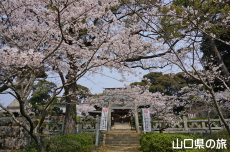 �{�������{�̍�