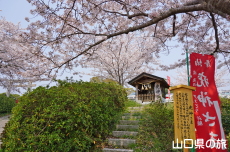 �{�������{�̍�