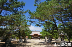 �Ô������{