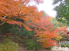 ���������{�̍g�t