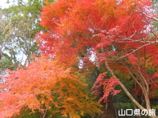 ���������{�̍g�t