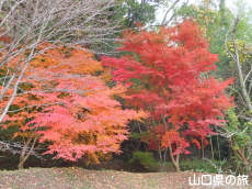 ���������{�̍g�t