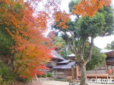 ���������{�̍g�t