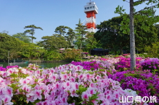 石炭記念館とつつじ