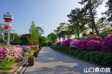 つつじと石炭記念館