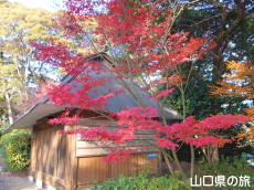宮尾八幡宮の紅葉