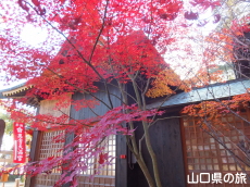 万倉天満宮の紅葉