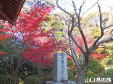 万倉天満宮の紅葉