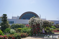 宇部空港のバラ園2023