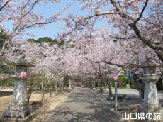 �F���썑�_�Ђ̍�