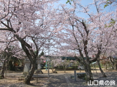 �F���썑�_�Ђ̍�