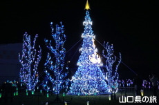 アラベスクツリー