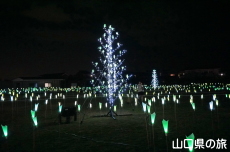 光のスワンレイク