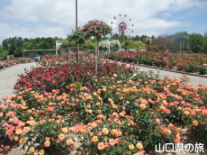 �I�������������̃o����