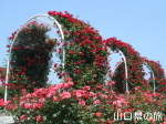 �I�������������̃o����